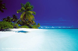 notizie e news isole maldive aprir a fine 2008 lo shangri la villingili resort & spa notizie in diretta dalle maldive