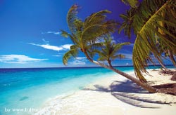 notizie e news isole maldive aprir a fine 2008 lo shangri la villingili resort & spa notizie in diretta dalle maldive