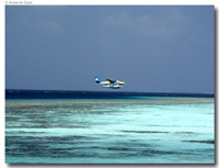 isole maldive : foto photo informazioni consigli utili kihaad resort isola di kihaadhuffaru atollo di baa febbraio 2005 by Gabriela&Bruno