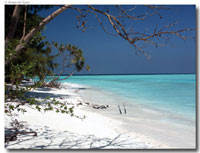 isole maldive : foto photo informazioni consigli utili kihaad resort isola di kihaadhuffaru atollo di baa febbraio 2005 by Gabriela&Bruno