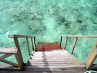 isole maldive foto photo informazioni consilgi utili maldive kuda rah resort isola di kudarah atollo di ari sud by Michele