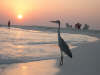 foto photo informazioni consigli utili isole maldive maayafushi resort isola di mayafushi atollo di ari nord by Dony&Ciosoto febbraio 2005