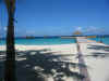 maayafushi-013.jpg (59248 byte)