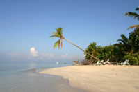 isole Maldive viaggio novembre-dicembre 2003: Machchafushi resort isola di Machchafushi con Reliance travel By Claudia&Dario di www.tuttomaldive.it