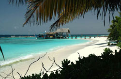 isole maldive fotografie informazioni isola di madoogali atollo di ari nord by Gabriela&Bruno agosto 2005