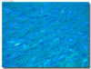 fotografie sub e snorkelling isola di madoogali atollo di ari nord by Gabriela&Bruno agosto 2005