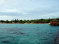isole maldive fotografie video informazioni maldive resort pearl island isola di meedhupparu atollo di raa gennaio 2010 Rita