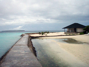 isole maldive fotografie video informazioni maldive resort pearl island isola di meedhupparu atollo di raa gennaio 2010 Rita