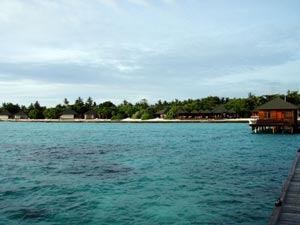 isole maldive fotografie video informazioni maldive resort pearl island isola di meedhupparu atollo di raa gennaio 2010 Rita