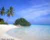 photo01.jpg (18226 byte)
