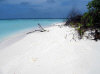isole maldive crociera maldive a bordo della monima II fotografie informazioni barca moonima II yacht boat tour operator macana maldives by www.poggisub.it nel gennaio 2006