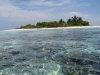 isole maldive crociera maldive a bordo della monima II fotografie informazioni barca moonima II yacht boat tour operator macana maldives by www.poggisub.it nel gennaio 2006