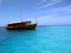 isole maldive fotografie informazioni consigli utili moofushi resort isola di moofushi atollo di ari sud by Claudia&Dario di www.tuttomaldive.it gruppo luglio 2006