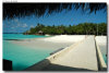 isole maldive foto spiagge informazioni consigli utili moofushi resort isola di moofushi atollo di ari sud con il gruppo di viaggio tuttomaldive nel luglio 2006 by Gabriela&Bruno utenti forum maldive Salomee e Gavriela uNachum