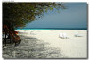 isole maldive foto spiagge informazioni consigli utili moofushi resort isola di moofushi atollo di ari sud con il gruppo di viaggio tuttomaldive nel luglio 2006 by Gabriela&Bruno utenti forum maldive Salomee e Gavriela uNachum