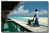 isole maldive foto spiagge informazioni consigli utili moofushi resort isola di moofushi atollo di ari sud con il gruppo di viaggio tuttomaldive nel luglio 2006 by Gabriela&Bruno utenti forum maldive Salomee e Gavriela uNachum