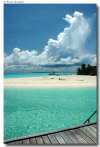 isole maldive foto spiagge informazioni consigli utili moofushi resort isola di moofushi atollo di ari sud con il gruppo di viaggio tuttomaldive nel luglio 2006 by Gabriela&Bruno utenti forum maldive Salomee e Gavriela uNachum