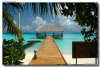 isole maldive foto spiagge informazioni consigli utili moofushi resort isola di moofushi atollo di ari sud con il gruppo di viaggio tuttomaldive nel luglio 2006 by Gabriela&Bruno utenti forum maldive Salomee e Gavriela uNachum