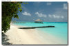 isole maldive foto spiagge informazioni consigli utili moofushi resort isola di moofushi atollo di ari sud con il gruppo di viaggio tuttomaldive nel luglio 2006 by Gabriela&Bruno utenti forum maldive Salomee e Gavriela uNachum