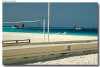 isole maldive foto spiagge informazioni consigli utili moofushi resort isola di moofushi atollo di ari sud con il gruppo di viaggio tuttomaldive nel luglio 2006 by Gabriela&Bruno utenti forum maldive Salomee e Gavriela uNachum