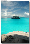 isole maldive foto lagune informazioni consigli utili moofushi resort isola di moofushi atollo di ari sud con il gruppo di viaggio tuttomaldive nel luglio 2006 by Gabriela&Bruno utenti forum maldive Salomee e Gavriela uNachum
