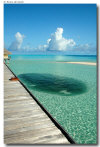 isole maldive foto lagune informazioni consigli utili moofushi resort isola di moofushi atollo di ari sud con il gruppo di viaggio tuttomaldive nel luglio 2006 by Gabriela&Bruno utenti forum maldive Salomee e Gavriela uNachum