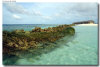 isole maldive foto muretti informazioni consigli utili moofushi resort isola di moofushi atollo di ari sud con il gruppo di viaggio tuttomaldive nel luglio 2006 by Gabriela&Bruno utenti forum maldive Salomee e Gavriela uNachum