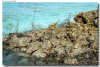 isole maldive foto muretti informazioni consigli utili moofushi resort isola di moofushi atollo di ari sud con il gruppo di viaggio tuttomaldive nel luglio 2006 by Gabriela&Bruno utenti forum maldive Salomee e Gavriela uNachum