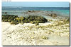 isole maldive foto muretti informazioni consigli utili moofushi resort isola di moofushi atollo di ari sud con il gruppo di viaggio tuttomaldive nel luglio 2006 by Gabriela&Bruno utenti forum maldive Salomee e Gavriela uNachum