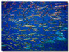 isole maldive foto sub e snorkelling informazioni consigli utili moofushi resort isola di moofushi atollo di ari sud con il gruppo di viaggio tuttomaldive nel luglio 2006 by Gabriela&Bruno utenti forum maldive Salomee e Gavriela uNachum
