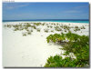 isole maldive foto escursioni heenfaru island informazioni consigli utili moofushi resort isola di moofushi atollo di ari sud con il gruppo di viaggio tuttomaldive nel luglio 2006 by Gabriela&Bruno utenti forum maldive Salomee e Gavriela uNachum