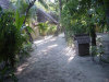 isole maldive foto gallery informazioni consigli utili moofushi resort isola di moofushi atollo di ari sud by scirio ottobre 2005