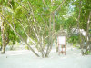 isole maldive foto gallery informazioni consigli utili moofushi resort isola di moofushi atollo di ari sud by scirio ottobre 2005