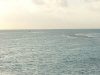 isole maldive foto gallery informazioni consigli utili moofushi resort isola di moofushi atollo di ari sud by scirio ottobre 2005