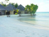 isole maldive foto gallery informazioni consigli utili moofushi resort isola di moofushi atollo di ari sud by scirio ottobre 2005