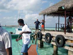 isole maldive foto informazioni consigli utili moofushi resort isola di moofushi atollo di ari sud by Claudia&Dario di www.tuttomaldive.it marzo 2006