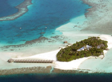 isole maldive foto informazioni consigli utili viaggio viaggio marzo 2006: prima crociera tuttomaldive sul conte max e moofushi island resort con best tours by Claudia&Dario di www.tuttomaldive.it
