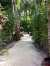 foto gallery esterni camera nika island resort isole maldive foto informazioni isola di kudafolhudhoo atollo di ari nord by Claudia&Dario di www.tuttomaldive.it