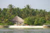 foto gallery spiagge nika island resort isole maldive foto informazioni isola di kudafolhudhoo atollo di ari nord by Claudia&Dario di www.tuttomaldive.it