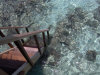 nika island resort isole maldive foto photo informazioni isola di kudafolhudhoo atollo di ari nord settembre 2005 by Obi Max&Laura di www.tuttomaldive.it