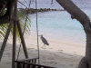 nika island resort isole maldive foto photo informazioni isola di kudafolhudhoo atollo di ari nord settembre 2005 by Obi Max&Laura di www.tuttomaldive.it