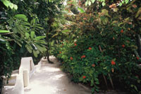 nika island resort isole maldive foto photo informazioni isola di kudafolhudhoo atollo di ari nord