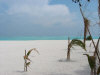 isole maldive fotografie informazioni consigli utili isole maldive olhuveli resort isola di olhuveli atollo di male sud by Riccardo nel gennaio 2006