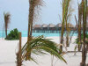 isole maldive fotografie informazioni consigli utili isole maldive olhuveli resort isola di olhuveli atollo di male sud by Riccardo nel gennaio 2006