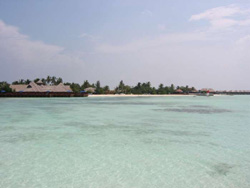 isole maldive fotografie informazioni consigli utili isole maldive olhuveli resort isola di olhuveli atollo di male sud by Riccardo nel gennaio 2006