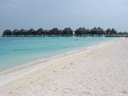 isole maldive fotografie informazioni consigli utili isole maldive olhuveli resort isola di olhuveli atollo di male sud by Riccardo nel gennaio 2006