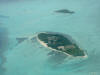 foto gallery Isole Maldive Palm Beach resort giugno 2003 isola di Madhiriguraidhoo atollo di Lhaviyani by Francesca&Francesco