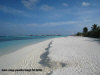 paradise  island  spiaggia 3 ovest - zona 1 isole maldive fotografie video informazioni notizie paradise island resort isola di lankanfinolhu atollo di male nord by Anacleto (utente forum maldive anacleto)