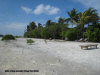 paradise  island  spiaggia 5 - zona 3 isole maldive fotografie video informazioni notizie paradise island resort isola di lankanfinolhu atollo di male nord by Anacleto (utente forum maldive anacleto)