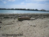 paradise  island  spiaggia 8 - zona 4 isole maldive fotografie video informazioni notizie paradise island resort isola di lankanfinolhu atollo di male nord by Anacleto (utente forum maldive anacleto)